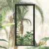 Tropical Door Sticker V2